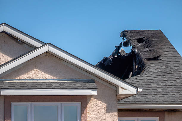 Licensed Odor Removal service in Saint Bonifacius, MN - Fire Damage Biloxi